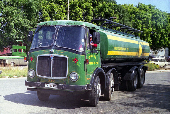 mammoth5-8qm t1929 1_rg