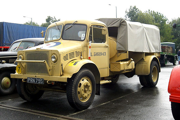 bedford40_OWLa prn795 1_aw