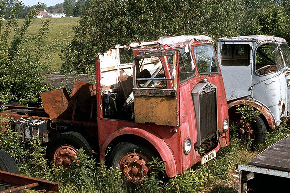 1954 Albion HD57 SX8716
