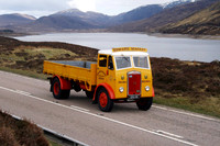 GSU119