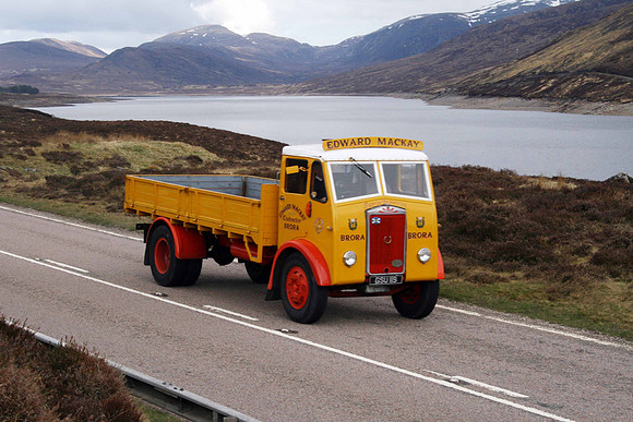 GSU119