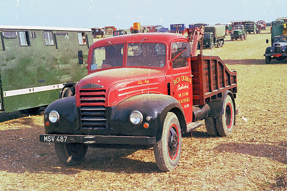 1951 Fordson Thames MSV487