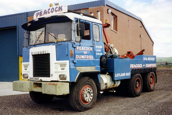 scammell_amazonqgb q443bao vuh713s 1_wr