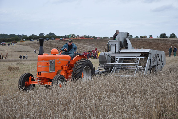 fieldmarshall gw_2