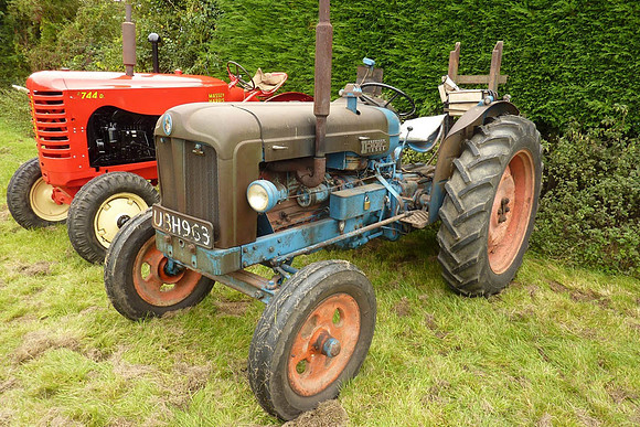 1954 Fordson Major UBH963