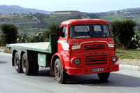 leyland_retrieverlqm dhq062 2_ps