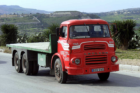leyland_retrieverlqm dhq062 2_ps