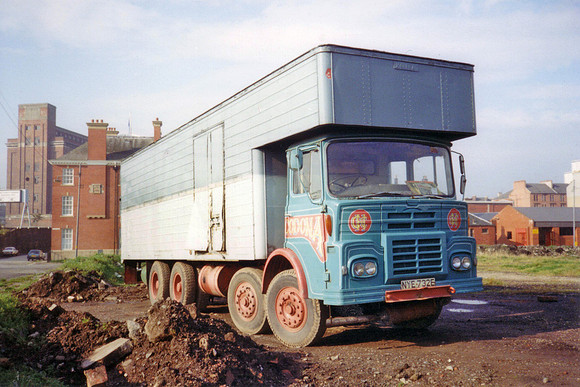 guy_bigj8e nye732e 1_wr