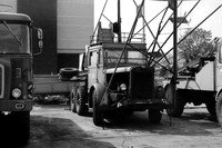 thornycroft_amazonqgb_jh_1