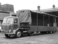 AEC Mandator FHX390B with 12M trailer (2)