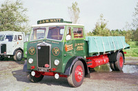 albion_clydesdalea lhh171 1_wr