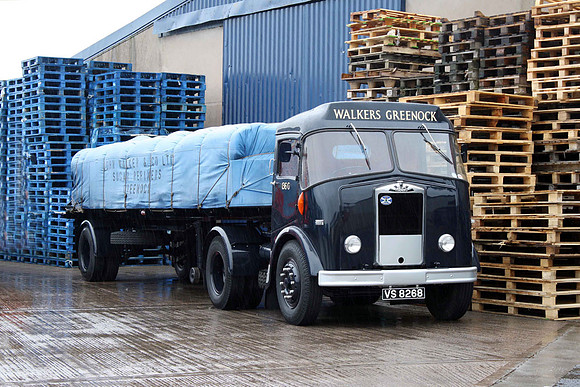 albion_clydesdalea vs8268 1_gc_1