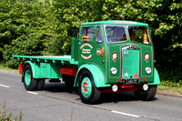 albion_clydesdalea lhh171 3_gc