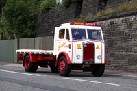 albion_clydesdalea nwe534 2_gc