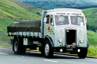 albion_clydesdalea swf707 1_gc