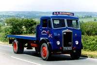 albion_clydesdalea tyh823 1_gc