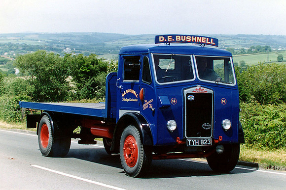 albion_clydesdalea tyh823 1_gc