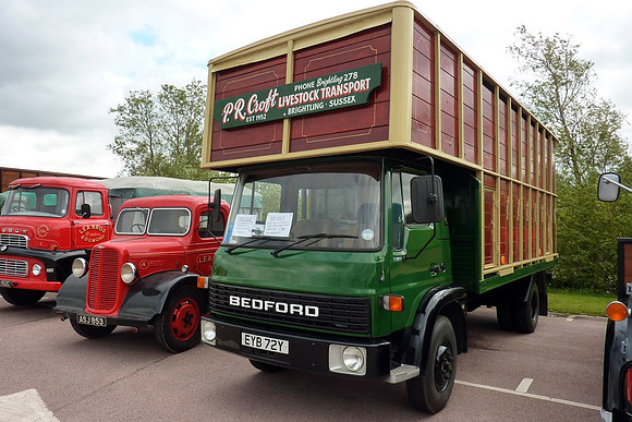 1982 Bedford TL EYB72Y