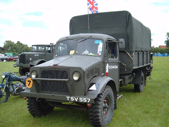 bedford40_OYa tsv557 1_pp
