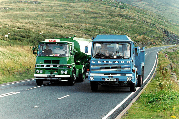 erf4l mgw981l 1_gc