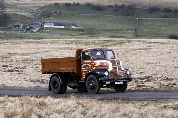 leyland_comet1a ceu386 2_gc