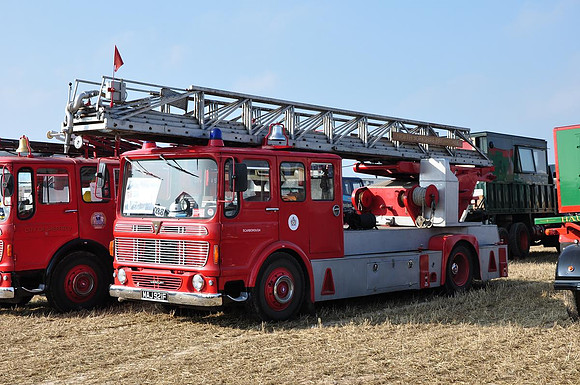 1967 AEC Mercury MAJ921F