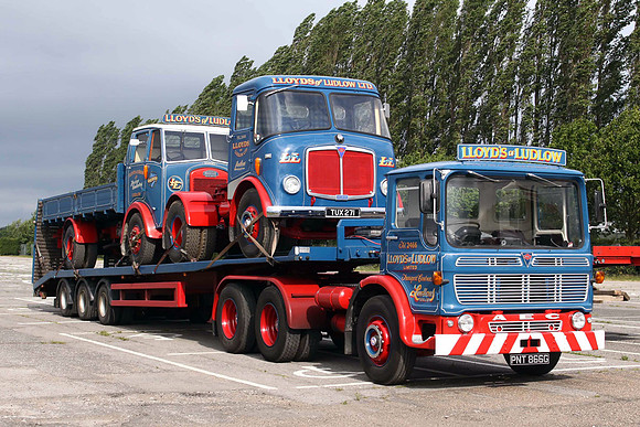 1969 AEC Mammoth Major PNT866G
