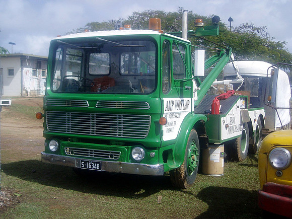 mammotht6qau s16348 ab