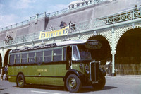 1931 AEC Regal GK5486 T219