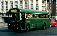 rf51 jl_TG