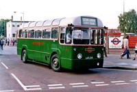 rf10 1983_mp