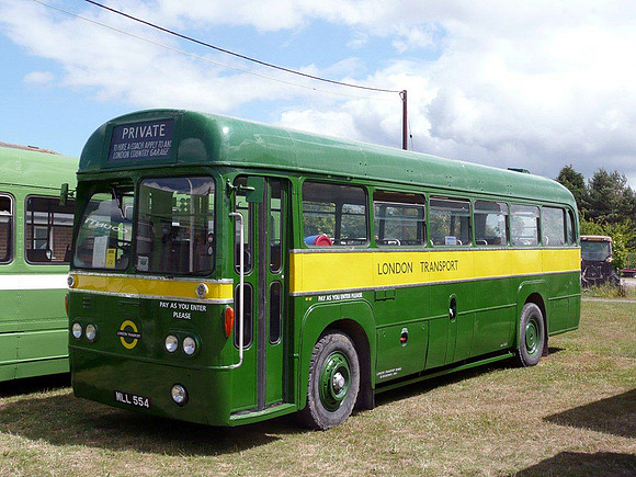 RF167 (MLL554)
