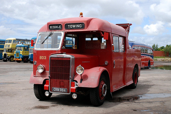 1950 Leyland Tiger PS2/5 CRN984