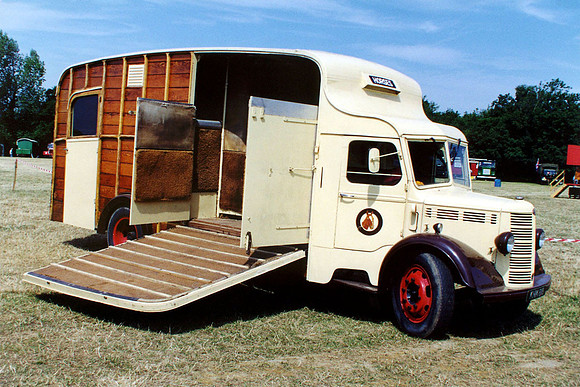 bedford_ola knm818 1_gc