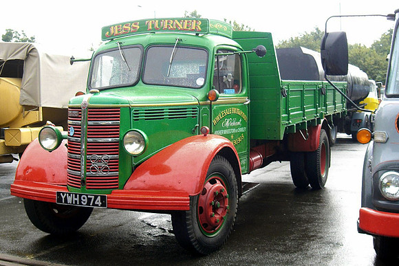 bedford_ola ywh974 2_aw