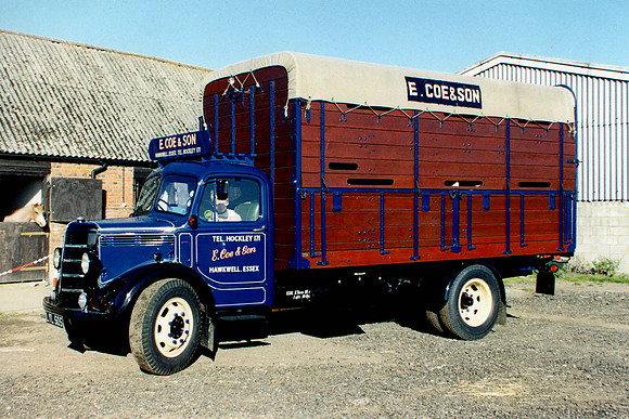 bedford_ola lyl505 1_gc