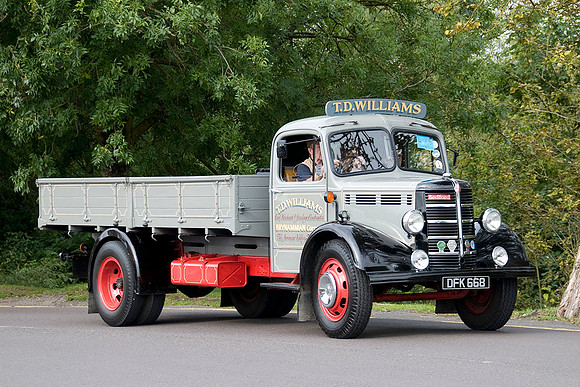 bedford_ola dfk668 1_pq