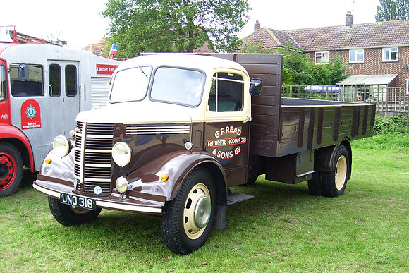 bedford_ola uno318 1_ib