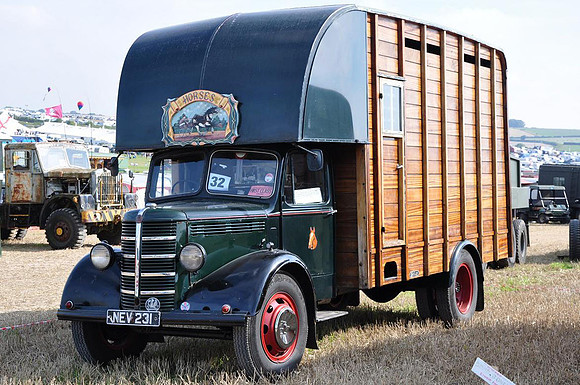 Bedford OL NEV231