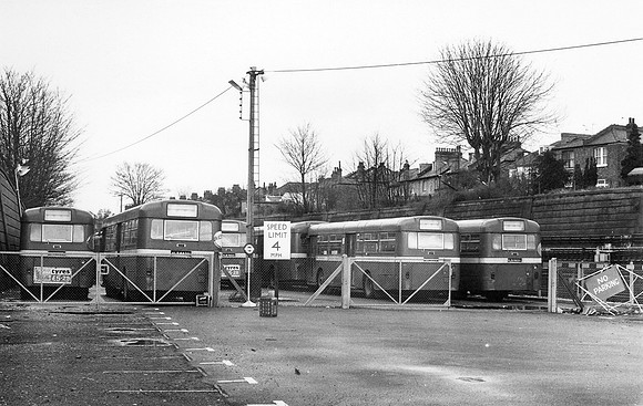 Finchley Central Merlins