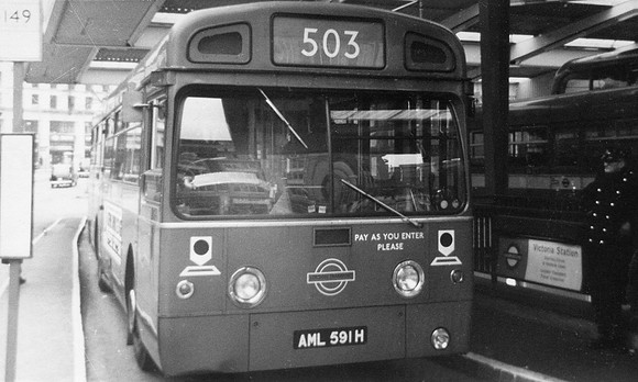 Red Arrow 503