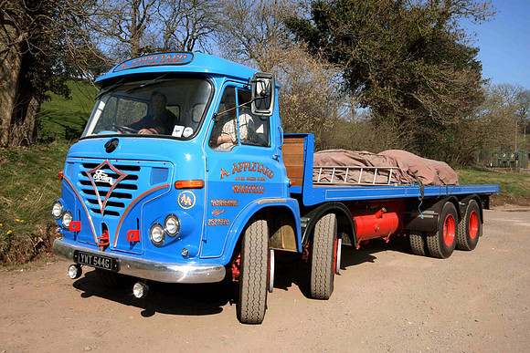 foden8-s036g ywt544g 2_gc