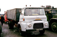 1965 Morris FF CVV388C