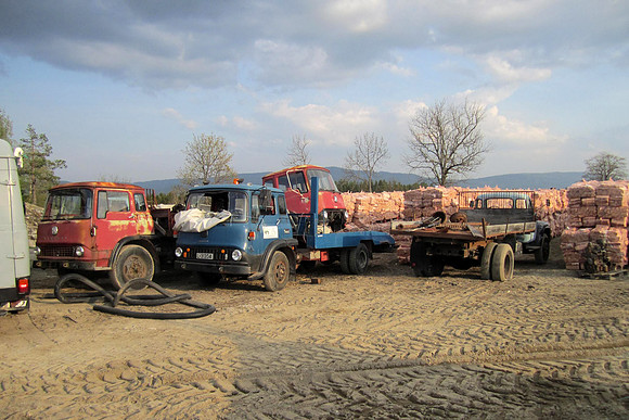 Bedford TK l31204