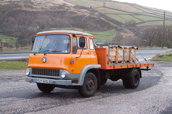 1973 Bedford TK TUY345L