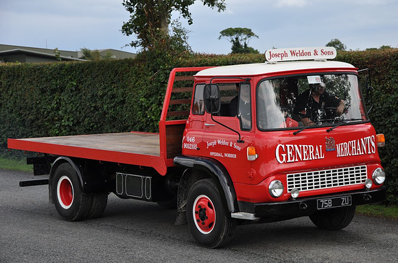 bedford_tk3qirl 758zu 1_gw