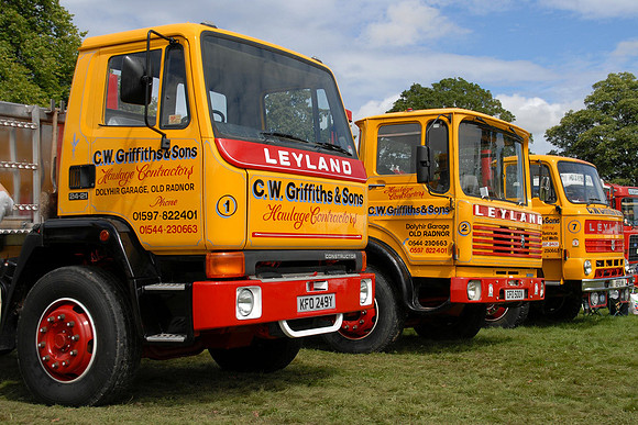 leyland_constructor6y kfo249y 1_sh