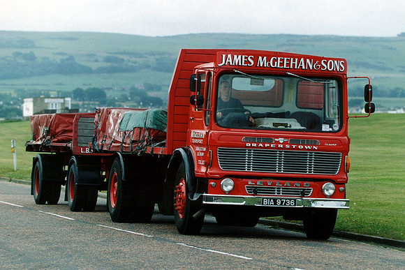 leyland_beavertqgbni bia9736 1_gc