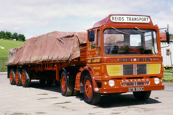leyland_beavertc stb550c 2_wr