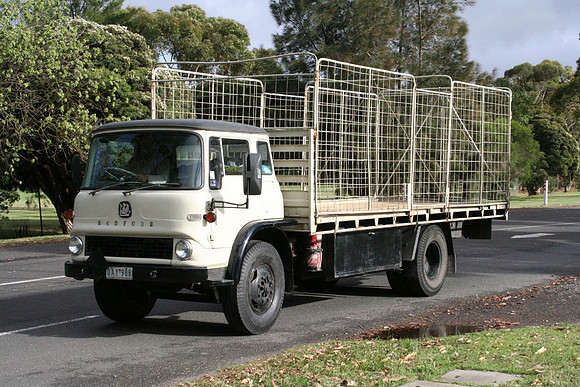bedford_tk5qau day988 1_aw